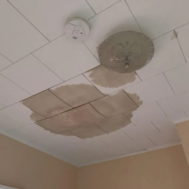 Ceiling Water Damage Repair in Easton, WI