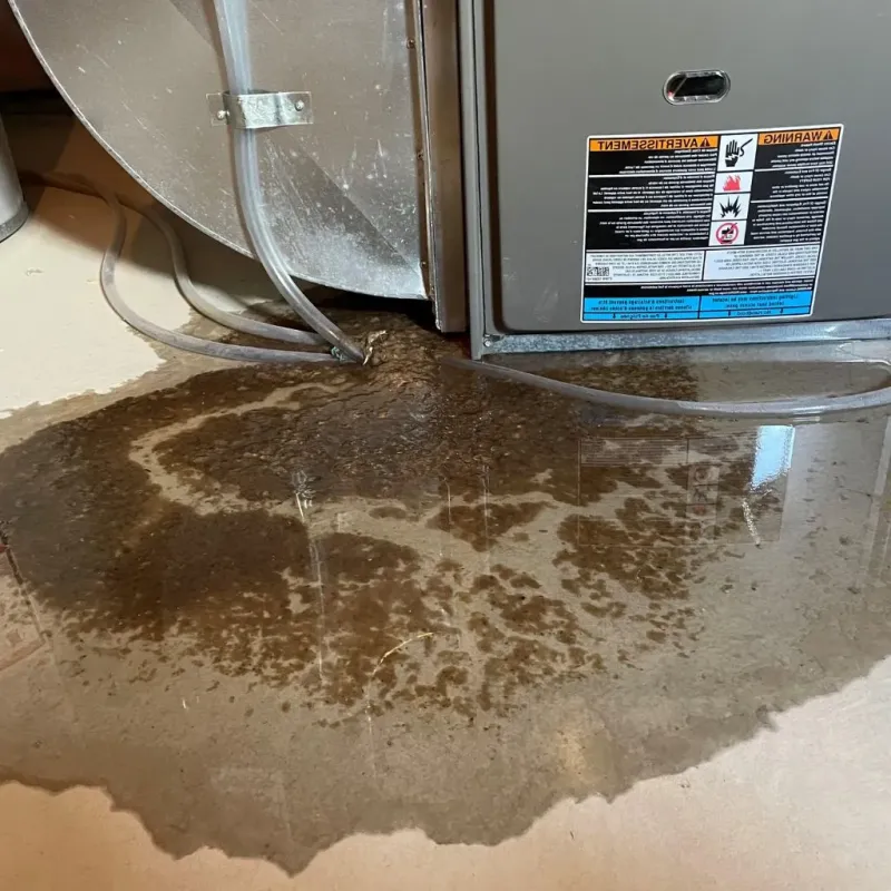 Pipe Burst and Leak Restoration in Easton, WI