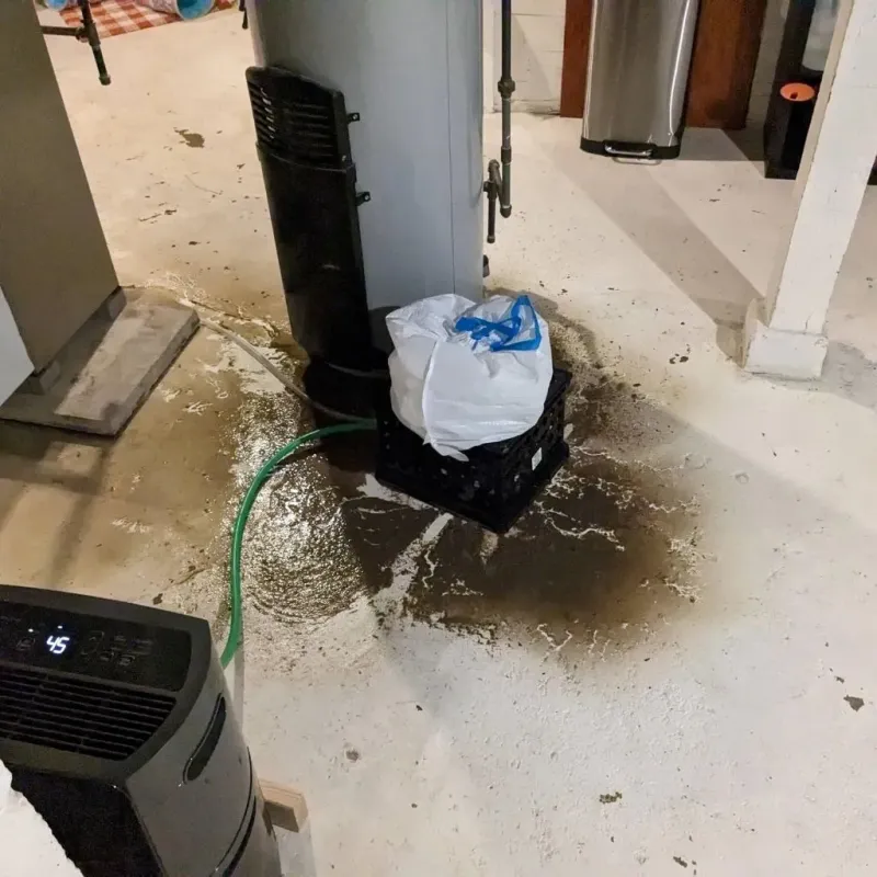 Sewage Backup Cleanup Service in Easton, WI